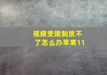 视频受限制放不了怎么办苹果11