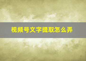 视频号文字提取怎么弄