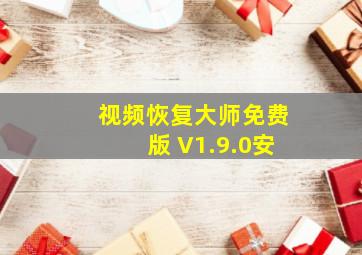 视频恢复大师免费版 V1.9.0安