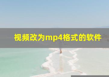 视频改为mp4格式的软件