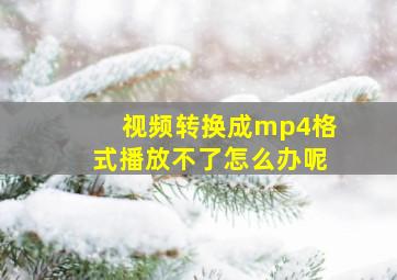 视频转换成mp4格式播放不了怎么办呢