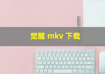 觉醒 mkv 下载