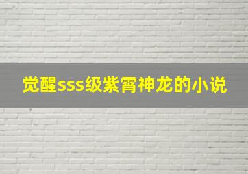 觉醒sss级紫霄神龙的小说