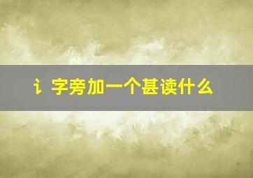 讠字旁加一个甚读什么