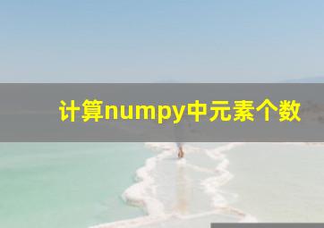 计算numpy中元素个数