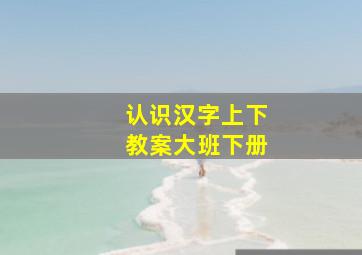 认识汉字上下教案大班下册