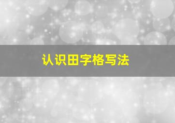 认识田字格写法