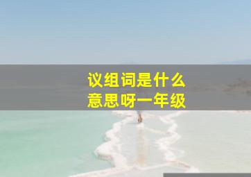 议组词是什么意思呀一年级