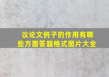 议论文例子的作用有哪些方面答题格式图片大全