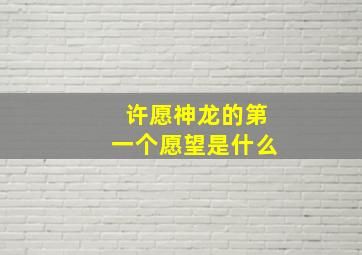 许愿神龙的第一个愿望是什么