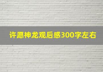 许愿神龙观后感300字左右