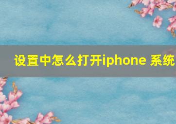 设置中怎么打开iphone 系统