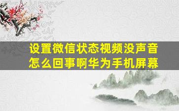 设置微信状态视频没声音怎么回事啊华为手机屏幕