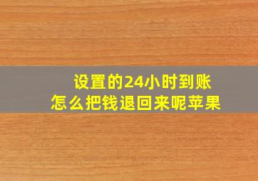 设置的24小时到账怎么把钱退回来呢苹果