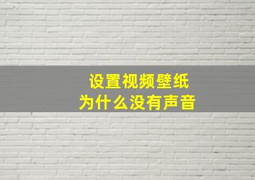 设置视频壁纸为什么没有声音