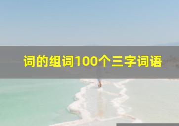 词的组词100个三字词语