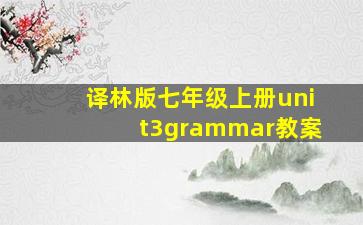 译林版七年级上册unit3grammar教案