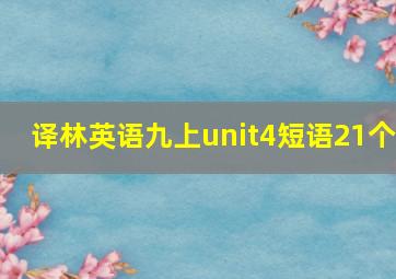 译林英语九上unit4短语21个