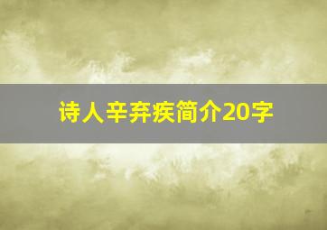 诗人辛弃疾简介20字