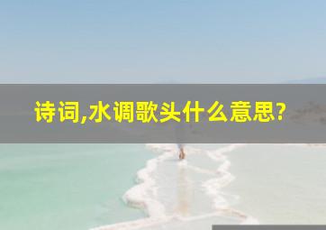 诗词,水调歌头什么意思?