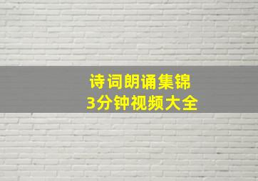 诗词朗诵集锦3分钟视频大全