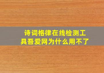 诗词格律在线检测工具吾爱网为什么用不了