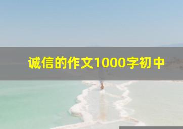 诚信的作文1000字初中