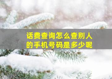 话费查询怎么查别人的手机号码是多少呢