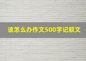 该怎么办作文500字记叙文