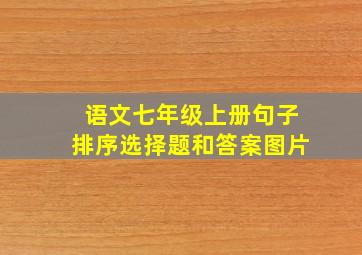 语文七年级上册句子排序选择题和答案图片