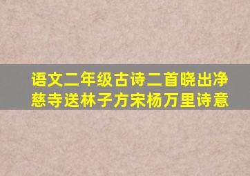 语文二年级古诗二首晓出净慈寺送林子方宋杨万里诗意