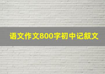 语文作文800字初中记叙文