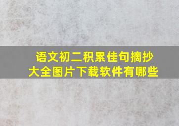 语文初二积累佳句摘抄大全图片下载软件有哪些