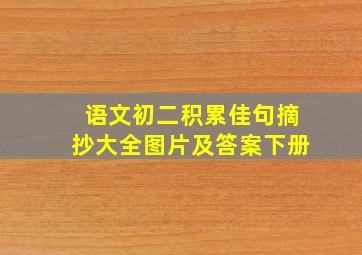 语文初二积累佳句摘抄大全图片及答案下册