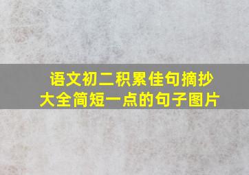 语文初二积累佳句摘抄大全简短一点的句子图片