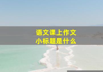 语文课上作文小标题是什么