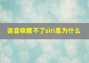 语音唤醒不了siri是为什么