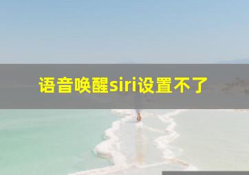 语音唤醒siri设置不了