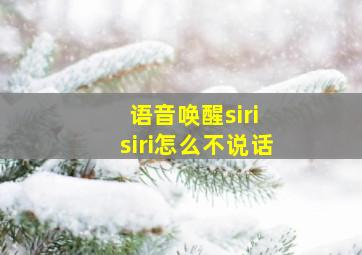 语音唤醒siri siri怎么不说话