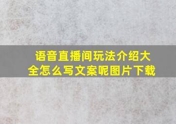 语音直播间玩法介绍大全怎么写文案呢图片下载