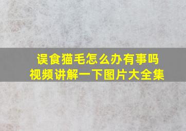 误食猫毛怎么办有事吗视频讲解一下图片大全集