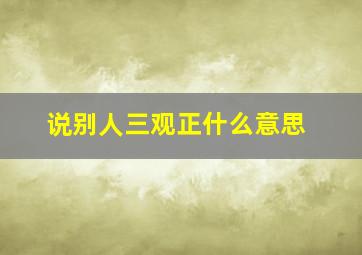 说别人三观正什么意思