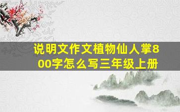 说明文作文植物仙人掌800字怎么写三年级上册