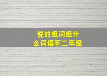 说的组词组什么词语啊二年级