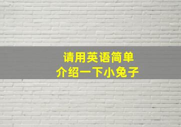 请用英语简单介绍一下小兔子