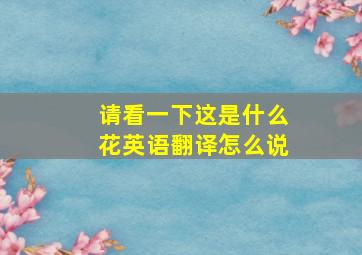 请看一下这是什么花英语翻译怎么说