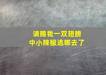 请赐我一双翅膀中小辣椒逃哪去了