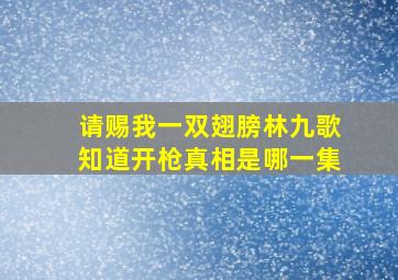 请赐我一双翅膀林九歌知道开枪真相是哪一集