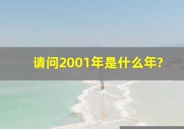 请问2001年是什么年?