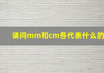 请问mm和cm各代表什么的